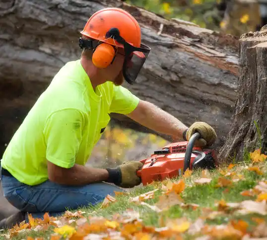 tree services West Glendive